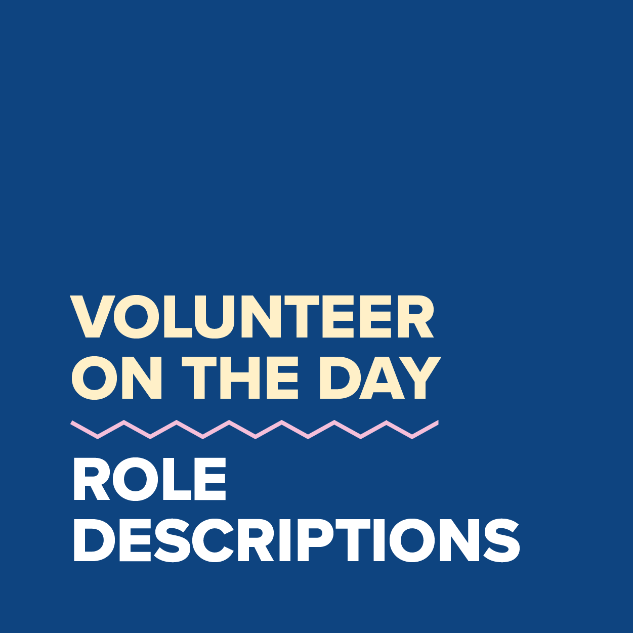 MDC2021_Volunteer On The Day Role Descriptions